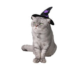 Maxbell Halloween Pet Costume Set for Small Medium Dogs Cats Apparel Accessories L