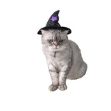 Maxbell Halloween Pet Costume Set for Small Medium Dogs Cats Apparel Accessories L
