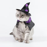 Maxbell Halloween Pet Costume Set for Small Medium Dogs Cats Apparel Accessories L