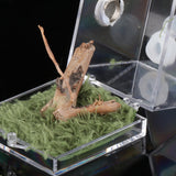 Maxbell Reptile Breeding Box Wide Range of Applications Insect Box for Pet Supplies M