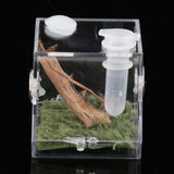 Maxbell Reptile Breeding Box Wide Range of Applications Insect Box for Pet Supplies M