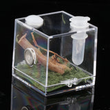 Maxbell Reptile Breeding Box Wide Range of Applications Insect Box for Pet Supplies M