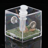 Maxbell Reptile Breeding Box Wide Range of Applications Insect Box for Pet Supplies M
