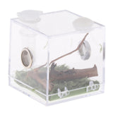 Maxbell Reptile Breeding Box Wide Range of Applications Insect Box for Pet Supplies M