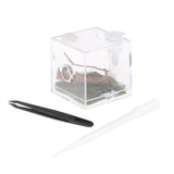 Maxbell Reptile Breeding Box Wide Range of Applications Insect Box for Pet Supplies M