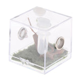 Maxbell Reptile Breeding Box Wide Range of Applications Insect Box for Pet Supplies M