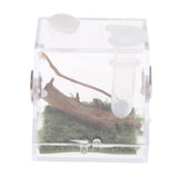 Maxbell Reptile Breeding Box Wide Range of Applications Insect Box for Pet Supplies M