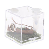 Maxbell Reptile Breeding Box Wide Range of Applications Insect Box for Pet Supplies M