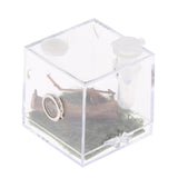 Maxbell Reptile Breeding Box Wide Range of Applications Insect Box for Pet Supplies M