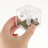 Maxbell Reptile Breeding Box Wide Range of Applications Insect Box for Pet Supplies M
