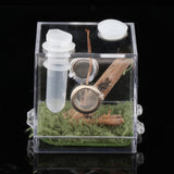 Maxbell Reptile Breeding Box Wide Range of Applications Insect Box for Pet Supplies M