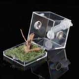 Maxbell Reptile Breeding Box Wide Range of Applications Insect Box for Pet Supplies M