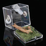 Maxbell Reptile Breeding Box Wide Range of Applications Insect Box for Pet Supplies M