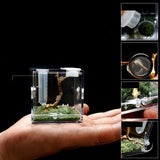 Maxbell Reptile Breeding Box Wide Range of Applications Insect Box for Pet Supplies M