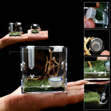 Maxbell Reptile Breeding Box Wide Range of Applications Insect Box for Pet Supplies L