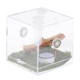 Maxbell Reptile Breeding Box Wide Range of Applications Insect Box for Pet Supplies L