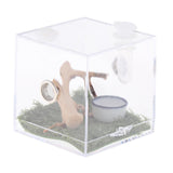 Maxbell Reptile Breeding Box Wide Range of Applications Insect Box for Pet Supplies L