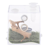 Maxbell Reptile Breeding Box Wide Range of Applications Insect Box for Pet Supplies L