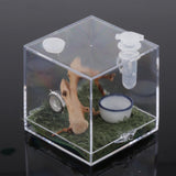 Maxbell Reptile Breeding Box Wide Range of Applications Insect Box for Pet Supplies L