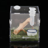 Maxbell Reptile Breeding Box Wide Range of Applications Insect Box for Pet Supplies L