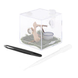 Maxbell Reptile Breeding Box Wide Range of Applications Insect Box for Pet Supplies L