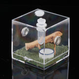 Maxbell Reptile Breeding Box Wide Range of Applications Insect Box for Pet Supplies L