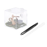 Maxbell Reptile Breeding Box Wide Range of Applications Insect Box for Pet Supplies L