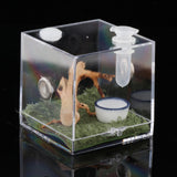 Maxbell Reptile Breeding Box Wide Range of Applications Insect Box for Pet Supplies L