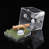 Maxbell Reptile Breeding Box Wide Range of Applications Insect Box for Pet Supplies L