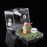 Maxbell Reptile Breeding Box Wide Range of Applications Insect Box for Pet Supplies L