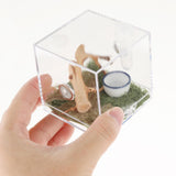 Maxbell Reptile Breeding Box Wide Range of Applications Insect Box for Pet Supplies L