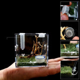 Maxbell Reptile Breeding Box Wide Range of Applications Insect Box for Pet Supplies L