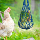 Maxbell Chicken Vegetable String Bag Fruit Treat Feeder with Hook for Goose Poultry blue