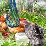 Maxbell Chicken Vegetable String Bag Fruit Treat Feeder with Hook for Goose Poultry blue
