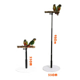 Maxbell Wooden T Stand Parrot Training Stable Bird Perch for Finch Conures Cockatiel