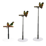 Maxbell Wooden T Stand Parrot Training Stable Bird Perch for Finch Conures Cockatiel