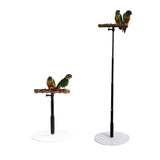 Maxbell Wooden T Stand Parrot Training Stable Bird Perch for Finch Conures Cockatiel