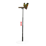 Maxbell Wooden T Stand Parrot Training Stable Bird Perch for Finch Conures Cockatiel