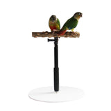 Maxbell Wooden T Stand Parrot Training Stable Bird Perch for Finch Conures Cockatiel