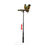 Maxbell Wooden T Stand Parrot Training Stable Bird Perch for Finch Conures Cockatiel