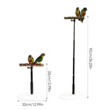 Maxbell Wooden T Stand Parrot Training Stable Bird Perch for Finch Conures Cockatiel