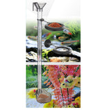 Maxbell Feeding Tube Transparent Dish Tray for Clams Fish Tank Aquarium Accessories