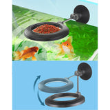 Maxbell Feeding Tube Transparent Dish Tray for Clams Fish Tank Aquarium Accessories