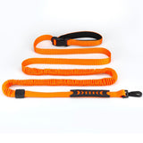Maxbell Hands Free Leash Waist Pet Leash Shock Absorbing for Running Dog Chain Orange