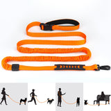 Maxbell Hands Free Leash Waist Pet Leash Shock Absorbing for Running Dog Chain Orange