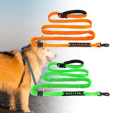Maxbell Hands Free Leash Waist Pet Leash Shock Absorbing for Running Dog Chain Orange
