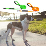 Maxbell Hands Free Leash Waist Pet Leash Shock Absorbing for Running Dog Chain Orange