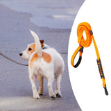 Maxbell Hands Free Leash Waist Pet Leash Shock Absorbing for Running Dog Chain Orange