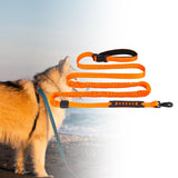 Maxbell Hands Free Leash Waist Pet Leash Shock Absorbing for Running Dog Chain Orange