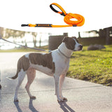 Maxbell Hands Free Leash Waist Pet Leash Shock Absorbing for Running Dog Chain Orange